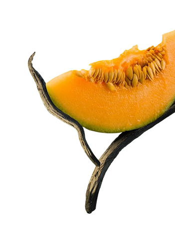 customizefruit
